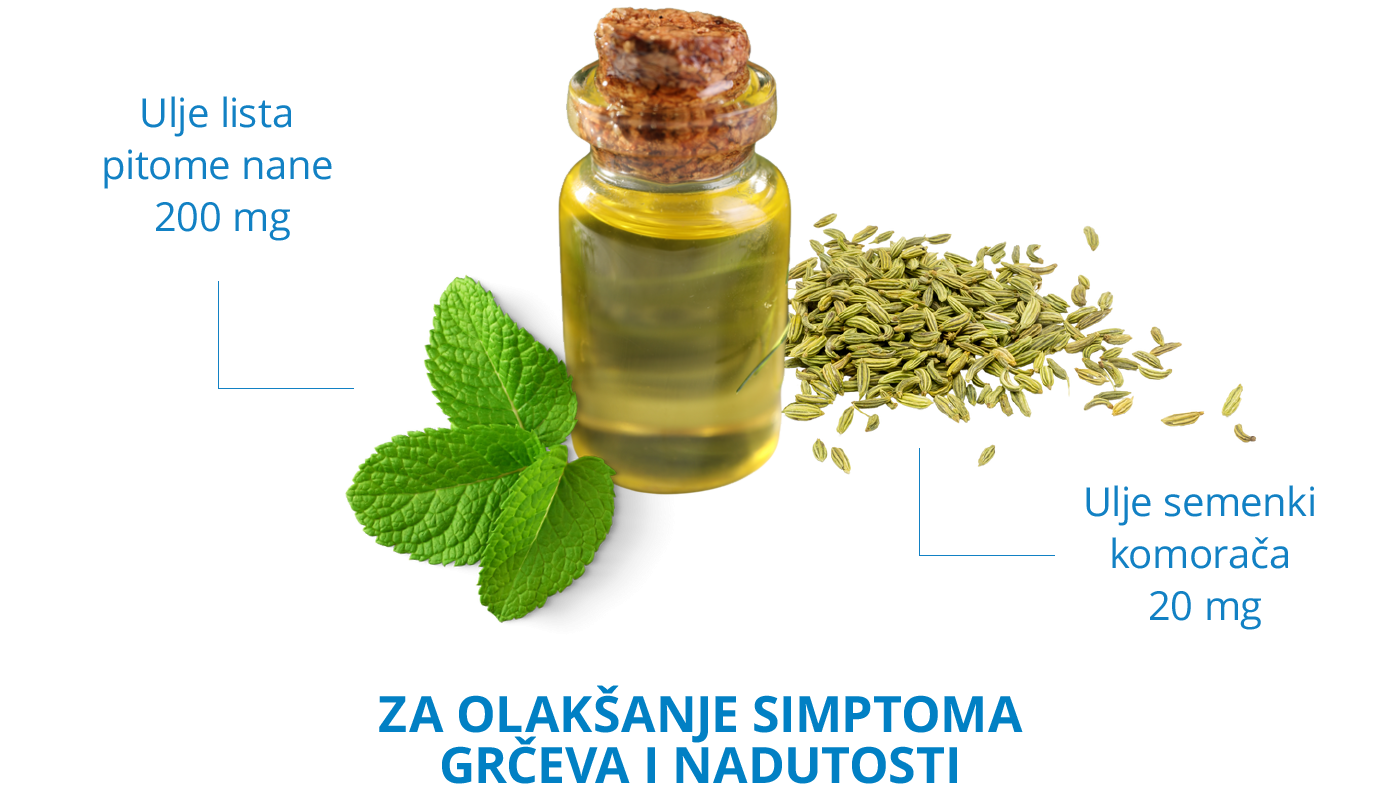 Colotens pocetna 2024 03 a SRB
